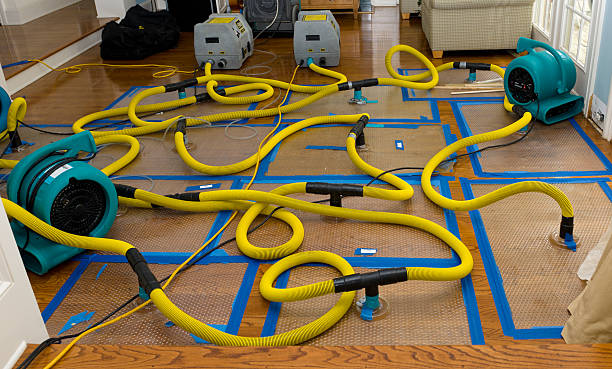 Professional Structural Drying And Dehumidification technician working in Gregory, TX
